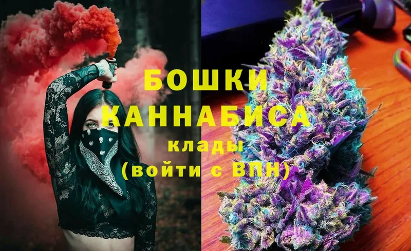 где купить наркотик  Саранск  Бошки Шишки OG Kush 